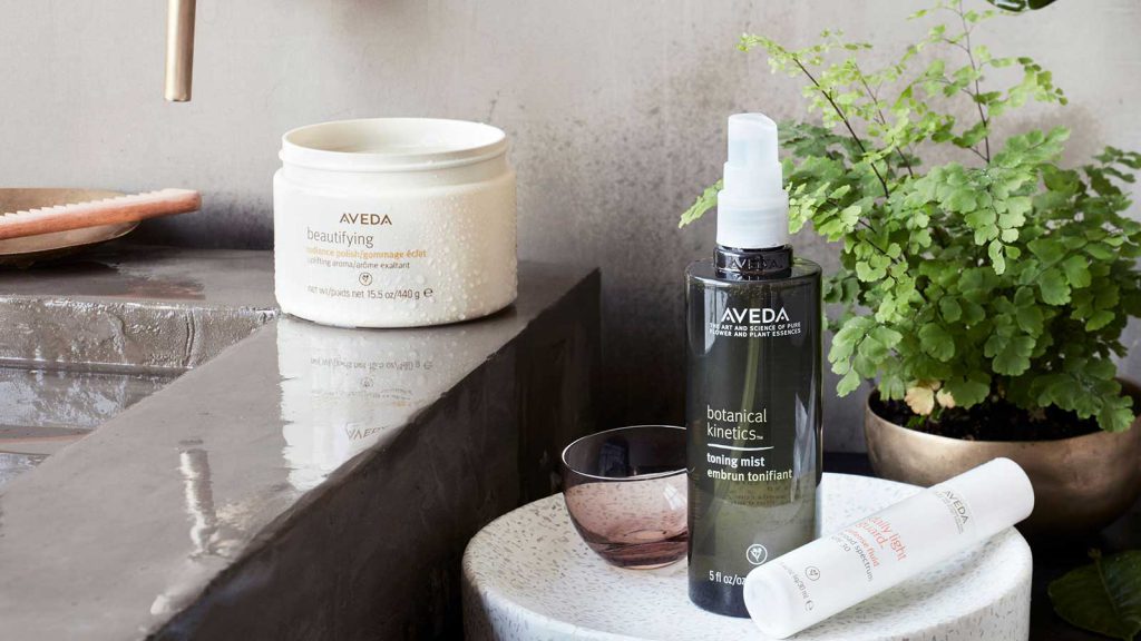 About Aveda Products — Langhana Spa And Salon